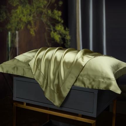 雅韵诗2023新款三边绣线枕套（不退换） 松石绿48*74+5cm一只