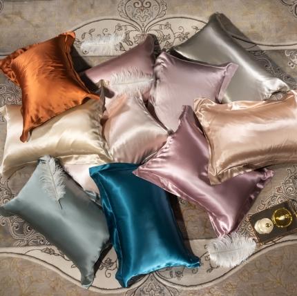 （总）雅韵诗 2023新款真丝四边枕套（不退换）