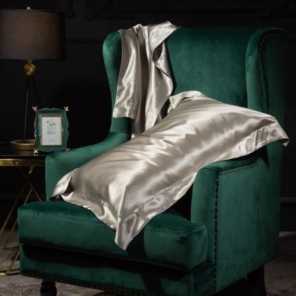 雅韵诗 2023新款真丝四边枕套（不退换） 太空灰48*74cm一只