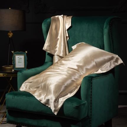 雅韵诗 2023新款真丝四边枕套（不退换） 香槟金48*74cm一只