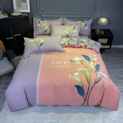 91家纺网 家纺一手货源 找家纺 金爱家 2021新款大版磨毛花卉系列四件套 花妍