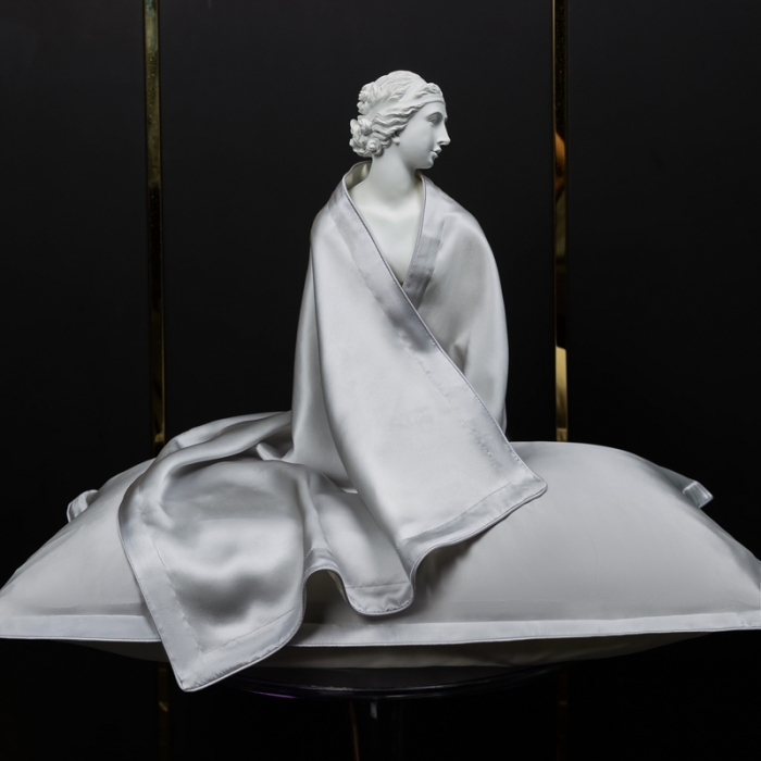 91家纺网 家纺一手货源 找家纺 雅韵诗2023新款真丝枕套（不退换） 小四边 银灰48*74+3一只