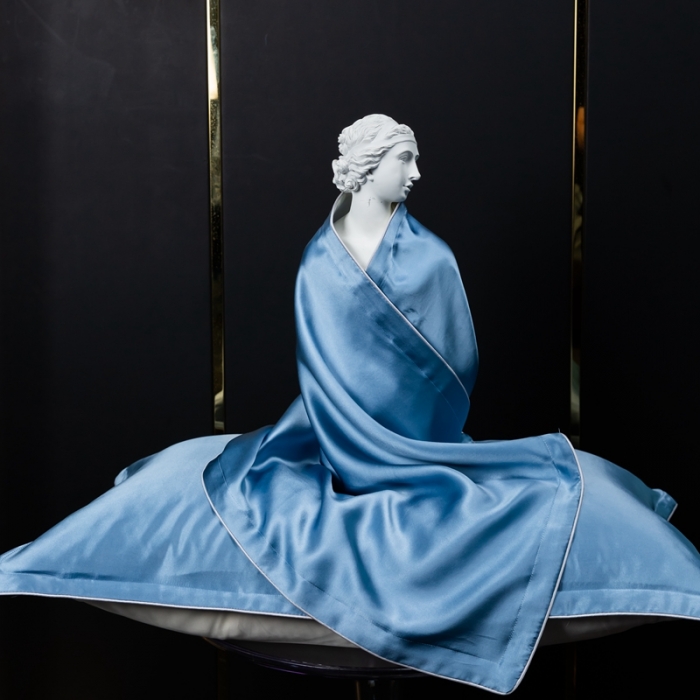 91家纺网 家纺一手货源 找家纺 雅韵诗2023新款真丝枕套（不退换） 小四边 鸢尾兰48*74+3一只