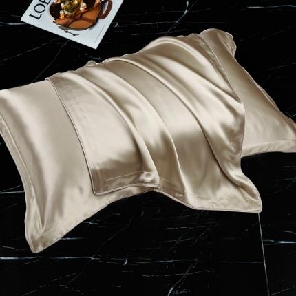 雅韵诗2023新款真丝枕套（不退换） 小四边 浅咖48*74+3一只