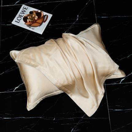 雅韵诗2023新款真丝枕套（不退换） 小四边 香槟金48*74+3一只