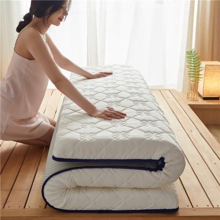 （总）鑫博莱 2021新款乳胶记忆棉床垫