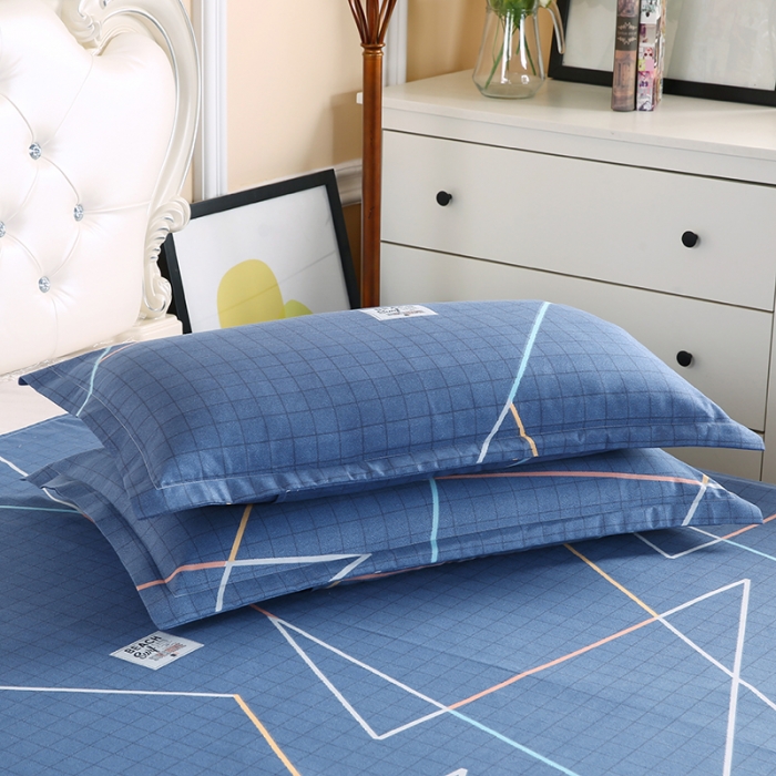 91家纺网 家纺一手货源 找家纺 爱诗诺 2025新款植物羊绒四件套磨毛印花亲肤四件套自由风格