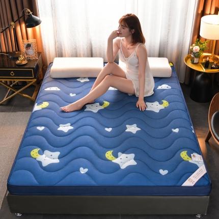 91家纺网 家纺一手货源 找家纺 亿丁点床垫 2021新款法莱绒针织立体床垫星月传奇