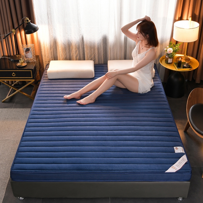 91家纺网 家纺一手货源 找家纺 亿丁点床垫 2021新款法莱绒针织立体床垫法莱绒宝蓝