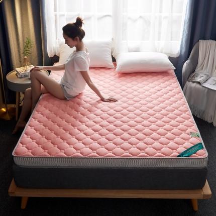 子鹏床垫 2022新款全棉乳胶海绵（立体）床垫 浅粉