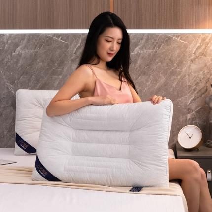 91家纺网 家纺一手货源 找家纺 （总）梦叶草2021新款石墨烯枕头决明子保健护颈枕芯