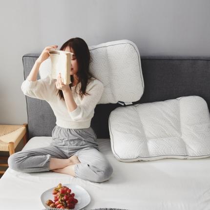 91家纺网 家纺一手货源 找家纺 境月枕芯 2021新款何首乌养护枕