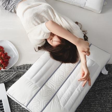 91家纺网 家纺一手货源 找家纺 境月枕芯 2021新款酸枣壳安神枕