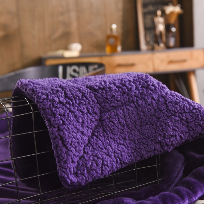 91家纺网 家纺一手货源 找家纺 BOSS 2021新款羊羔绒毛毯羊羔绒毯 玛瑙紫