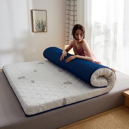 91家纺网 家纺一手货源 找家纺 （总）锦丝钰 2021新款加厚乳胶抗菌记忆海绵床垫