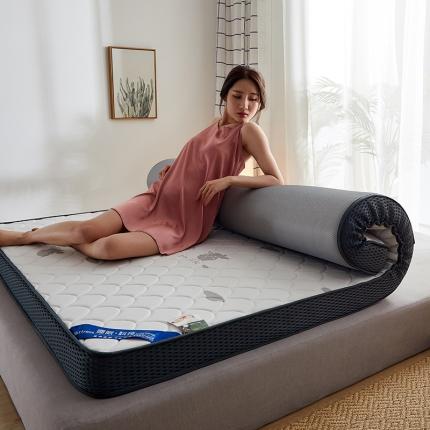 91家纺网 家纺一手货源 找家纺 （总）锦丝钰 2021新款加厚乳胶抗菌记忆海绵床垫