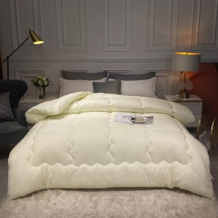 91家纺网 家纺一手货源 找家纺 （总）U被家纺 2021新款磨毛压花冬被（实拍图）