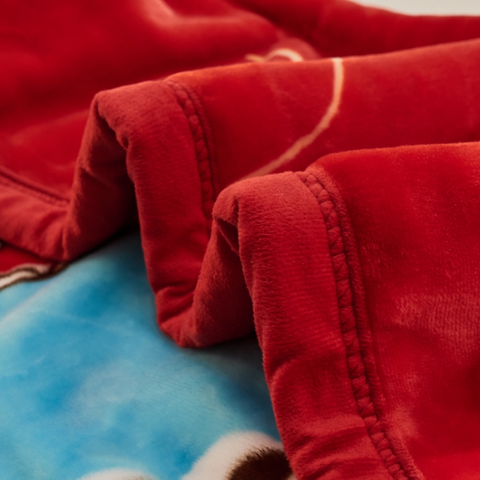 91家纺网 家纺一手货源 找家纺 凯轩毛毛毯毯子 2024新款双层儿童云毛毯毯子盖毛毯毯子毛毯毯子子 调皮龙-红