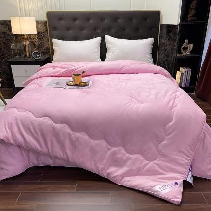 91家纺网 家纺一手货源 找家纺 （总）紫乐家纺2024新款全棉纯棉提花拉链式大豆纤维子母被春秋被加厚冬被