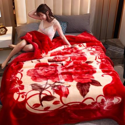 凤凰林毛毯 2021新款拉舍尔毛毯238大红