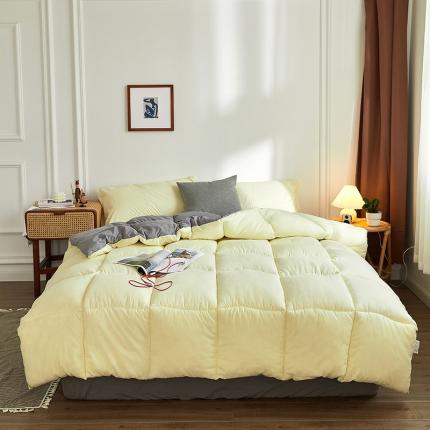 91家纺网 家纺一手货源 找家纺 （总）VIP被业 2021新款双拼冬被