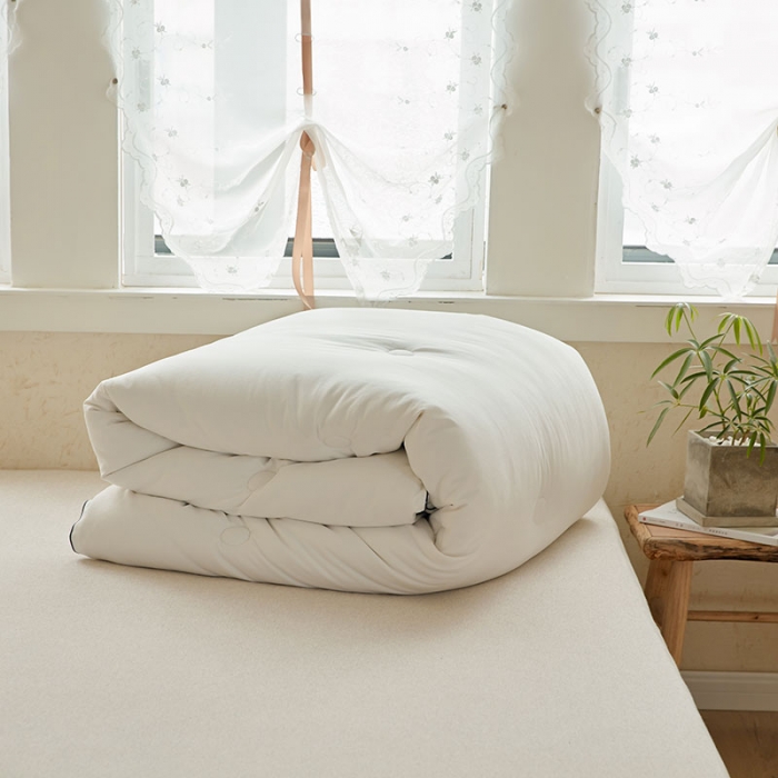 91家纺网 家纺一手货源 找家纺 （总）VIP被业 2021新款云绒棉冬被