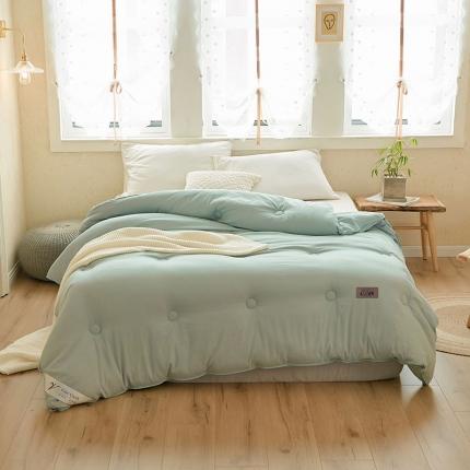 VIP被业 2021新款云绒棉冬被 水绿色