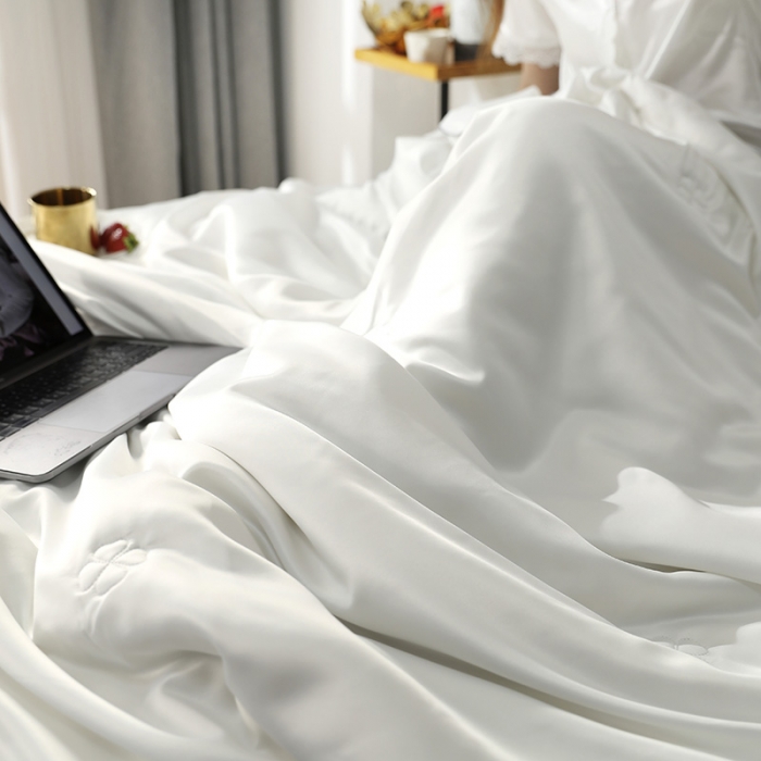 91家纺网 家纺一手货源 找家纺 巴宝路2024新品seres水洗真丝蚕丝被