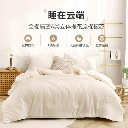 （总）木堇家居 2021新款全棉大豆被