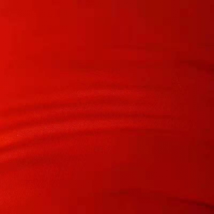 91家纺网 家纺一手货源 找家纺 新丽佳家纺 2021新款全棉立体羽丝绒婚庆枕芯 红色