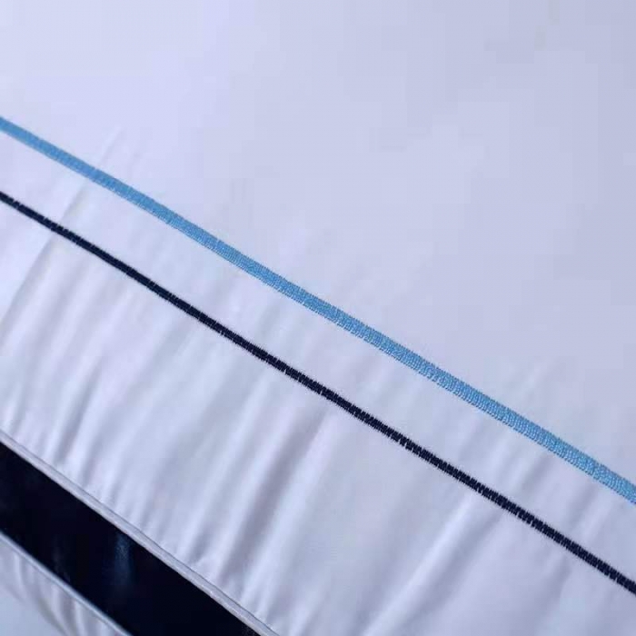 91家纺网 家纺一手货源 找家纺 新丽佳家纺2021全棉立体羽丝绒枕头枕芯立体蓝边1000克