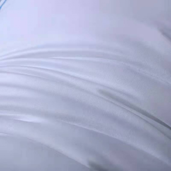 91家纺网 家纺一手货源 找家纺 新丽佳家纺2021全棉立体羽丝绒枕头枕芯立体蓝边1000克