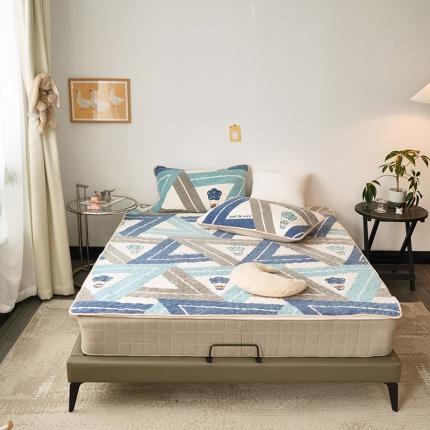 91家纺网 家纺一手货源 找家纺 （总）美优兰  2021新品加厚牛奶绒床垫床护垫床盖三件套