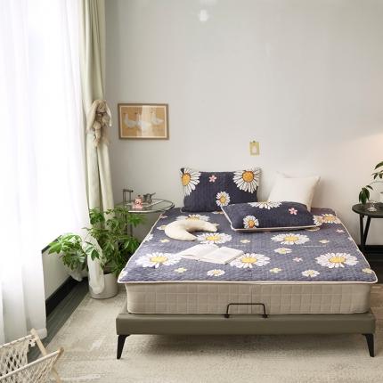 91家纺网 家纺一手货源 找家纺 （总）美优兰  2021新品加厚牛奶绒床垫床护垫床盖三件套