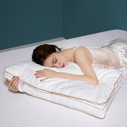 （总）婷好枕芯 2023新款双层蚕丝枕