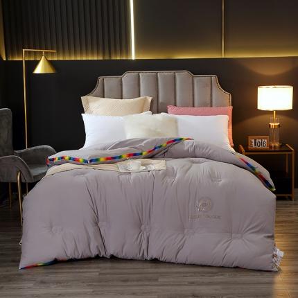 VIP被业 2021新款彩虹大豆被冬被 彩虹灰