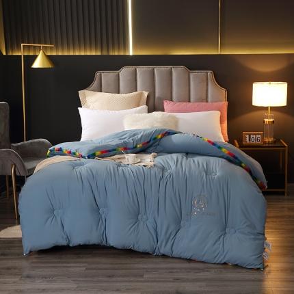 VIP被业 2021新款彩虹大豆被冬被 彩虹兰