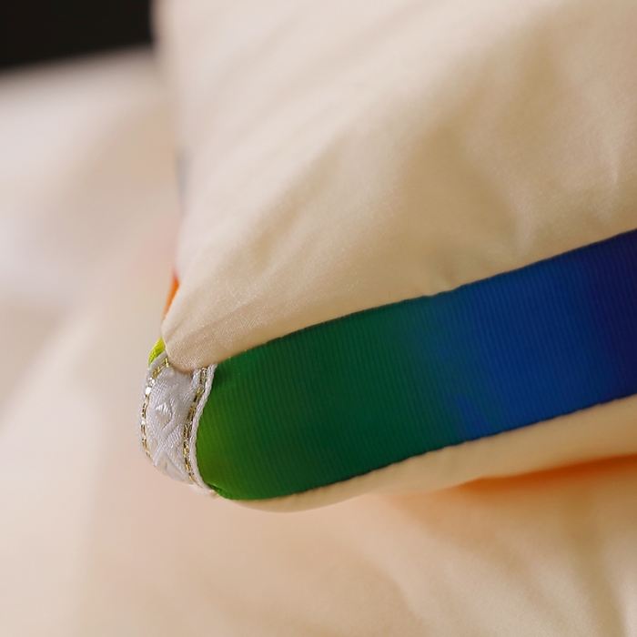 91家纺网 家纺一手货源 找家纺 VIP被业 2021新款彩虹大豆被冬被 彩虹米