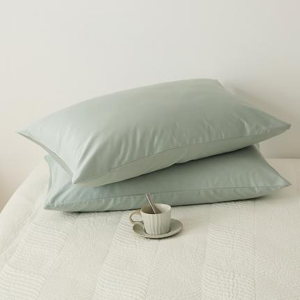 91家纺网 家纺一手货源 找家纺 （总）2021新款100S长绒棉纯色单品枕套