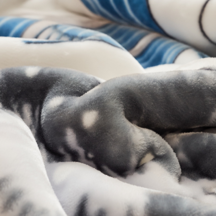 91家纺网 家纺一手货源 找家纺 凯轩毛毛毯毯子 加大加厚儿童云毛毯毯子 围巾熊灰