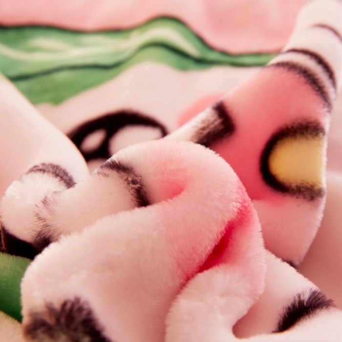 91家纺网 家纺一手货源 找家纺 2025秋冬新款双层加厚拉舍尔毛毯 保暖法莱绒毯子 表白