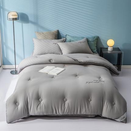 91家纺网 家纺一手货源 找家纺 （总）头等舱 四季棉大豆抗菌被-北欧风