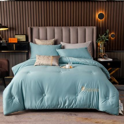 91家纺网 家纺一手货源 找家纺 头等舱澳棉100支A类大豆抗菌防螨秋冬被维多利湖蓝