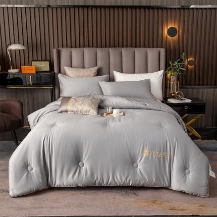 91家纺网 家纺一手货源 找家纺 头等舱澳棉100支A类大豆抗菌防螨秋冬被维多利灰