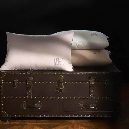 总芯益嘉2021新款自热小黑枕生姜暖柔再生纤维素纤维枕头枕芯