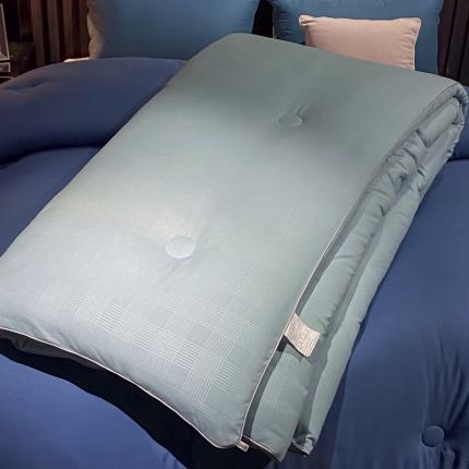 91家纺网 家纺一手货源 找家纺 （总）U被 2025秋冬新款轻奢酒店冬被被芯被子