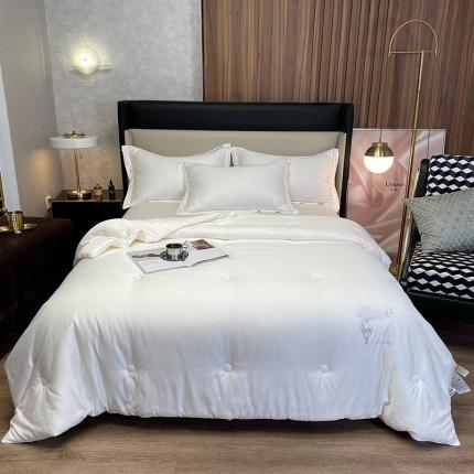 91家纺网 家纺一手货源 找家纺 （总）桂雅居 2021新款实拍图极柔雪绒鲜豆蛋白被