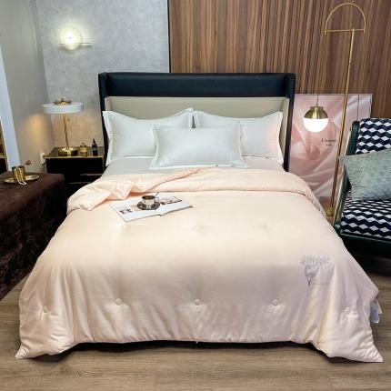 91家纺网 家纺一手货源 找家纺 （总）桂雅居 2021新款实拍图极柔雪绒鲜豆蛋白被