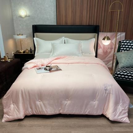 91家纺网 家纺一手货源 找家纺 （总）桂雅居 2021新款实拍图极柔雪绒鲜豆蛋白被