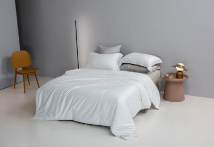 91家纺网 家纺一手货源 找家纺 2021香夫新款蚕丝被80S凯撒纯蚕丝被